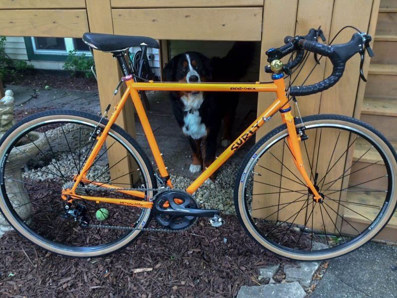 Right side view of an orange Surly Cross Check bike, parked below a deck, with a Bernese Mountain dog standing behind