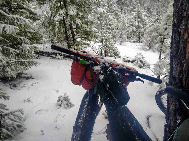 Rear view of a Surly fat bike facing into a snowy forest