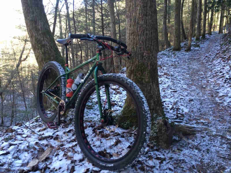 Front, right side view of a green Surly Krampus bike, leaning on 2 trees of a snowy hill, next to a trail in the woods
