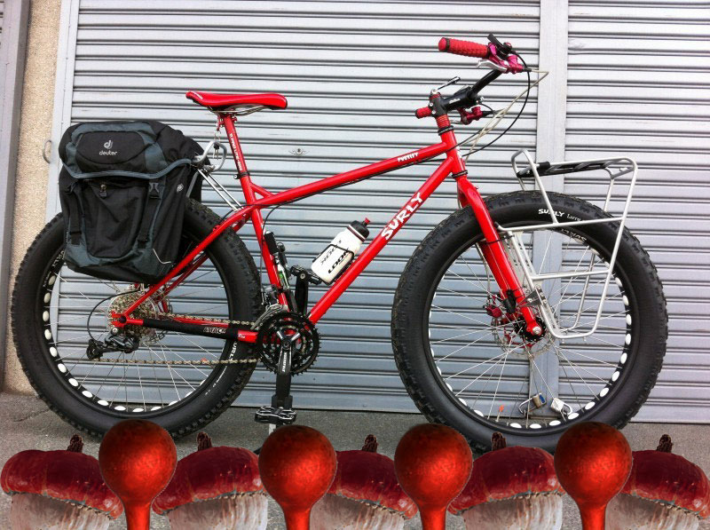 Right profile of a Surly Pugsley bike, red, parked on front of a garage door - acorn graphics below tires