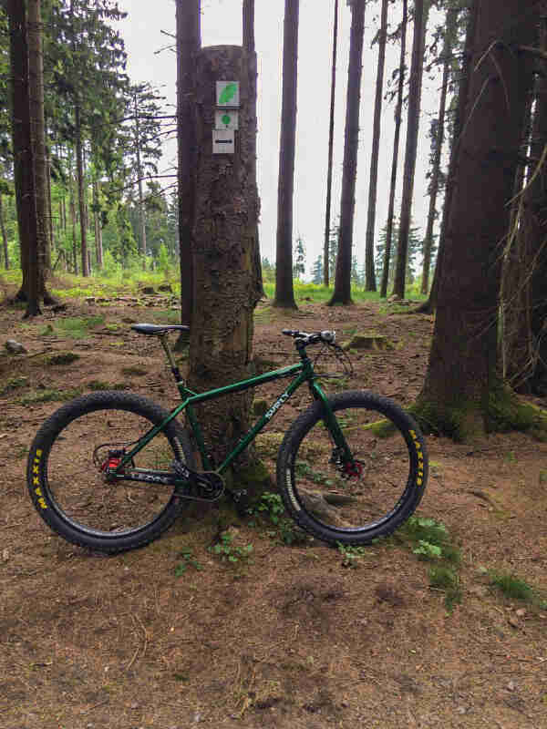 Right profile of a Surly bike, green, parked on pine needles, in front of a tree trunk, in a forest