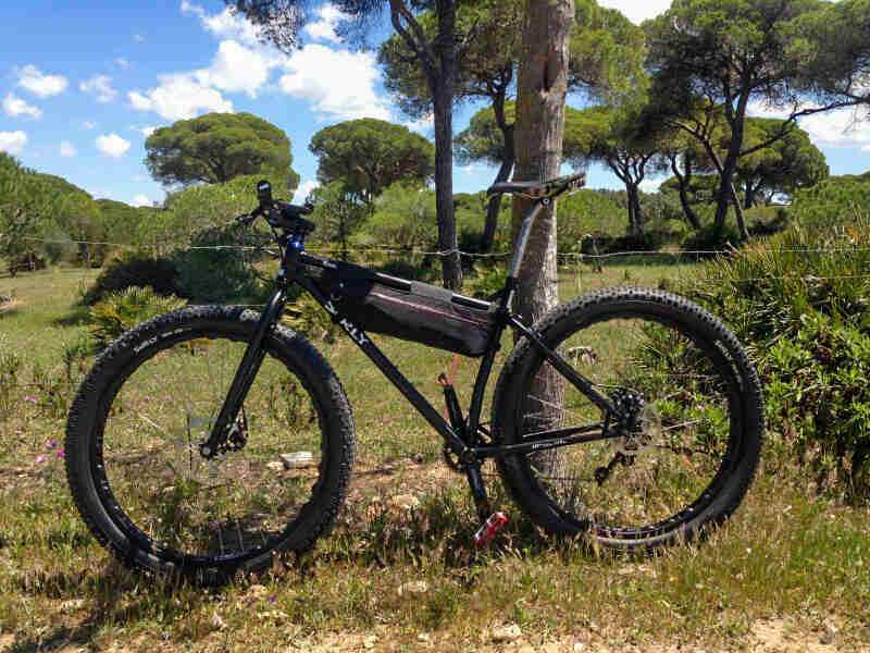 Left side view of Surly Krampus bike, black, in a pasture, with green trees in the background
