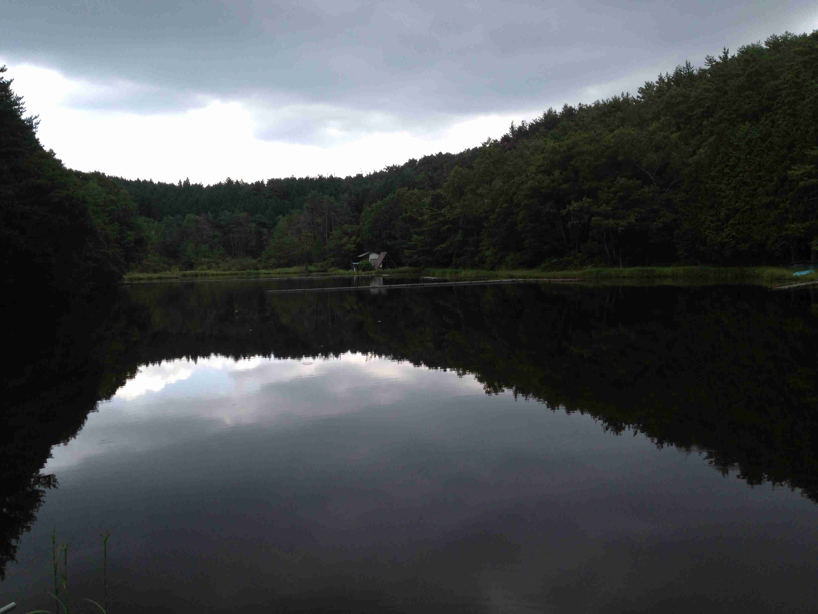 A completely still pond, with a thick forest surrounding it, and reflecting in the water, on a cloudy day