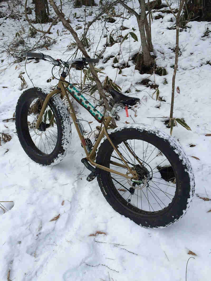 Left side view of Surly fat bike with a polka dot top tube pad, parked on snow, next to small trees