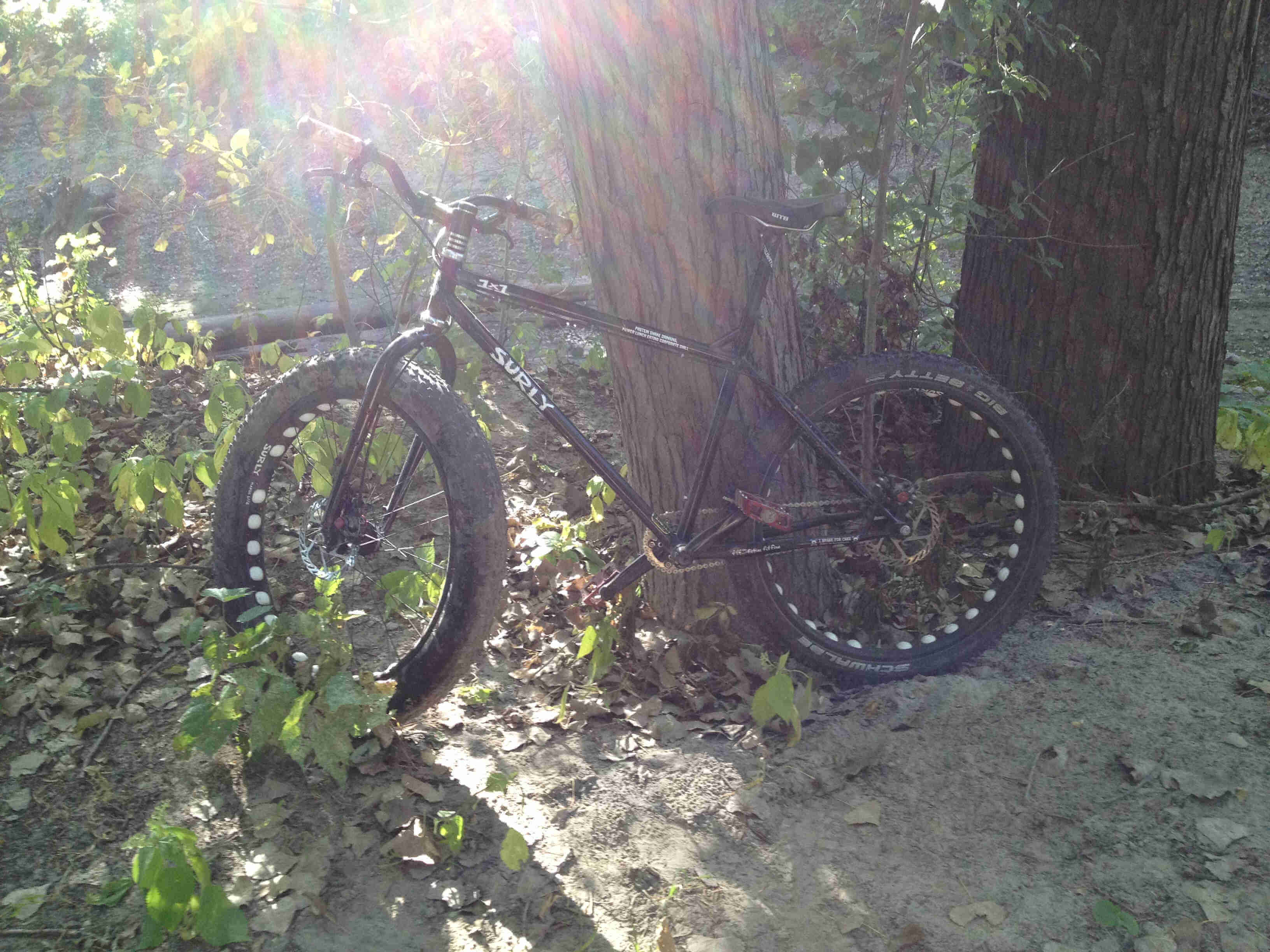 Left side view of a black Surly 1x1 bike, parked on sand, leaves and weeds, leaning against a tree
