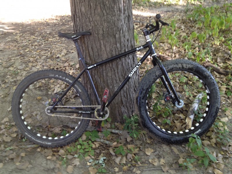 Right side view of a black Surly 1x1 bike, parked on leafy ground, against the base of a tree
