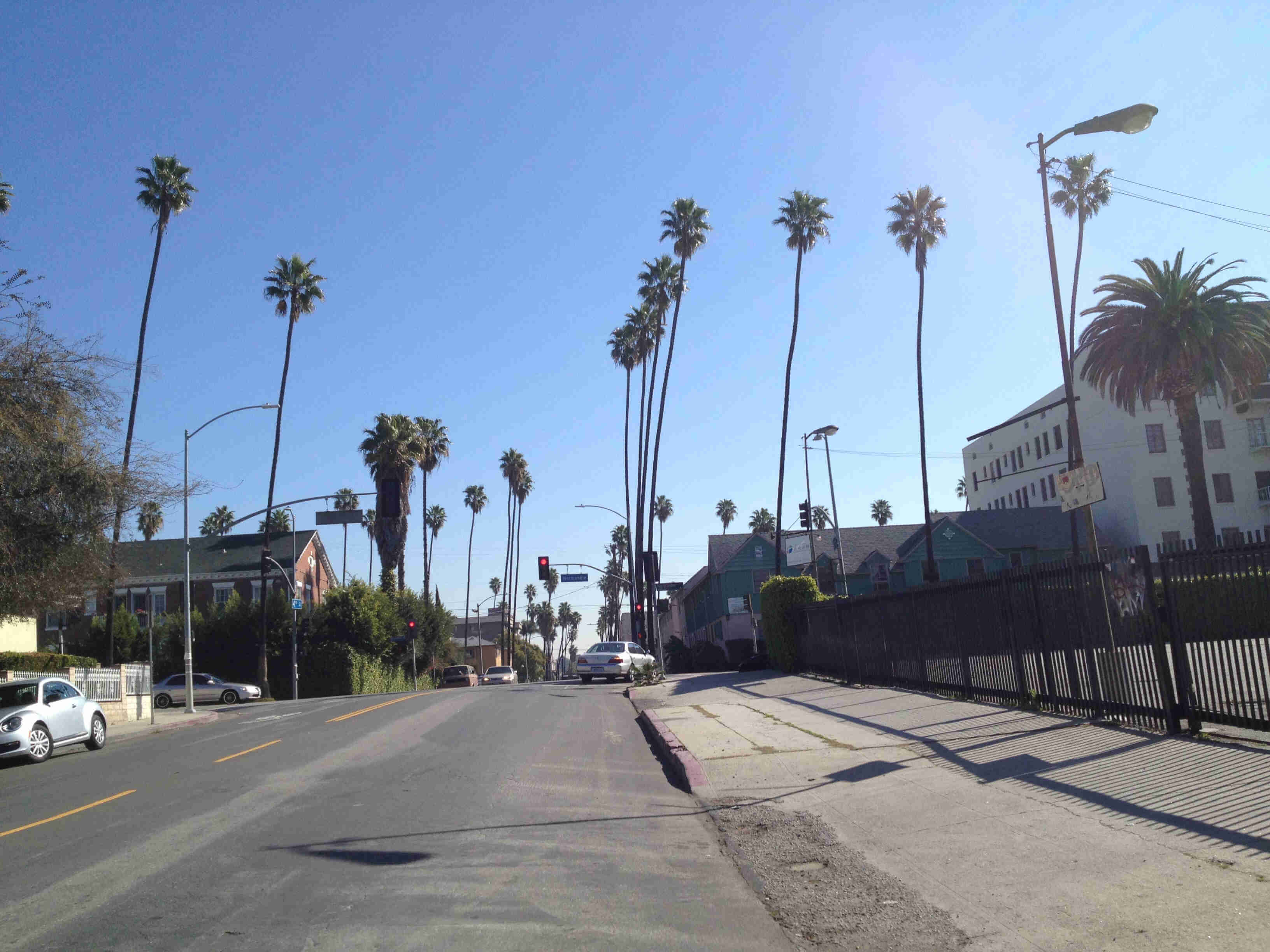 View up a city street hill, with palm trees and buildings on the sides