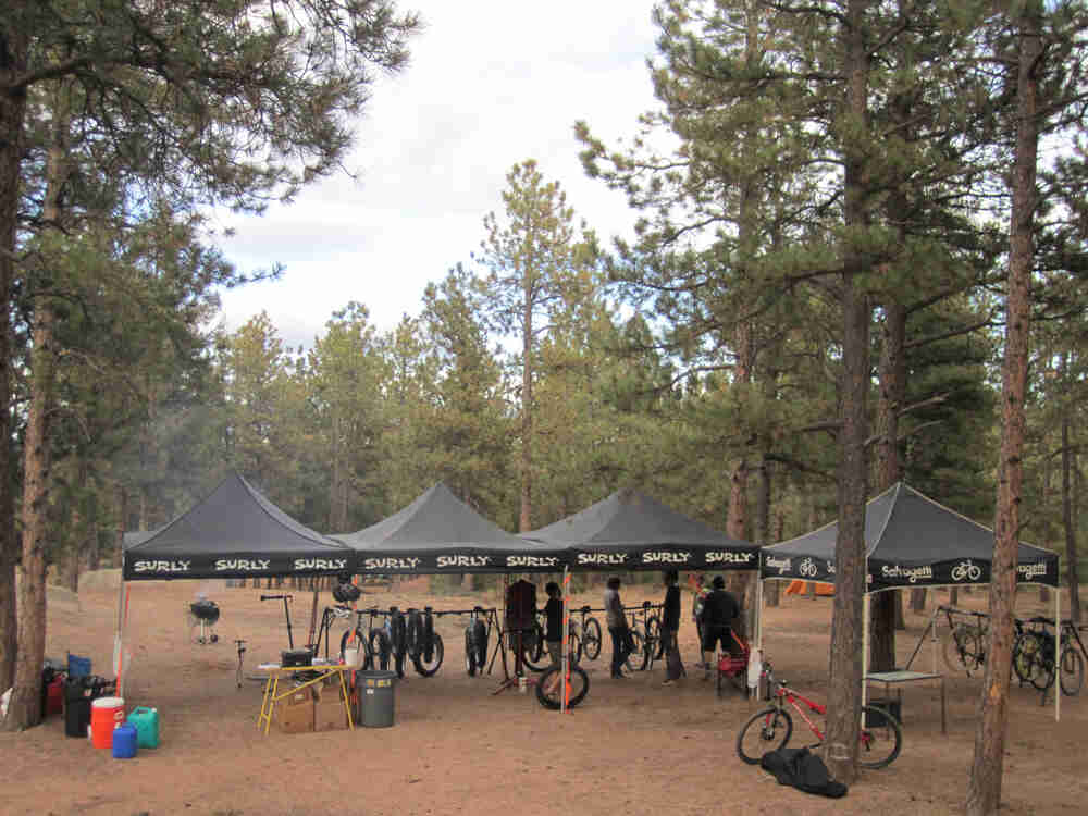 Surly canopies with people and bike underneath, on a clearing in a pine forest