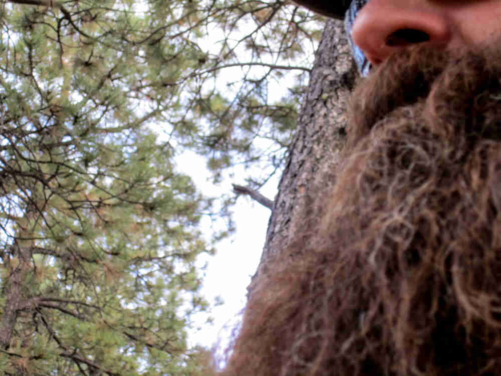 Crop view of a person's beard and trees in the background