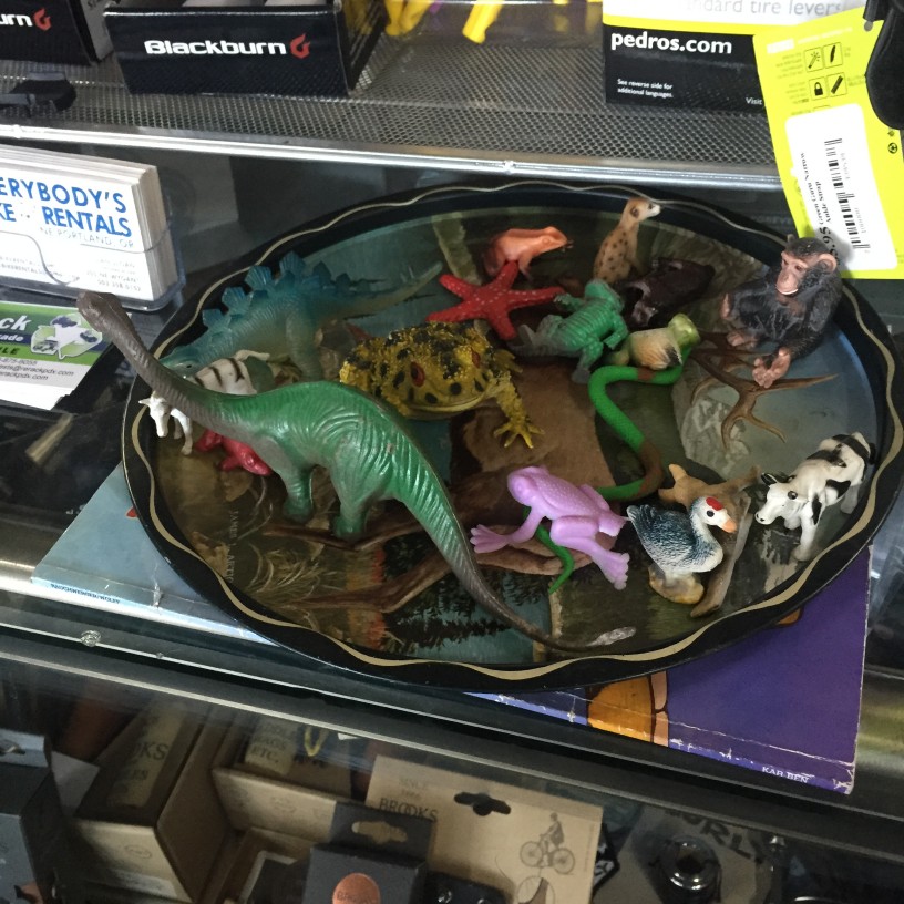 Downward view of a dish, with small plastic animals in it, on a glass countertop