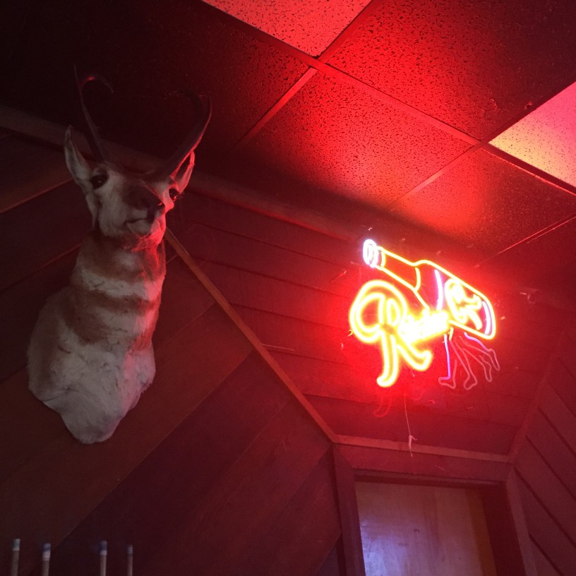 Upward view of an antelope head and a red neon sign, mounted on a wall, in a dark room