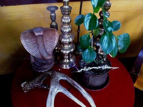 A small round table, with a plant, deer antler, candlestick holder and a cobra figurine on top of it, inside a room