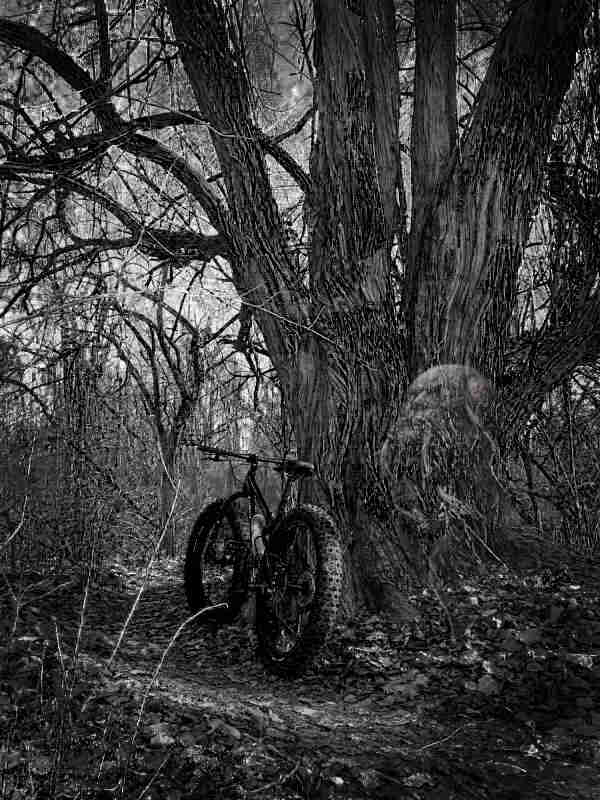 Rear view of a Surly fat bike next to a tree in the forest, with a faint ghostly face behind - black & white image
