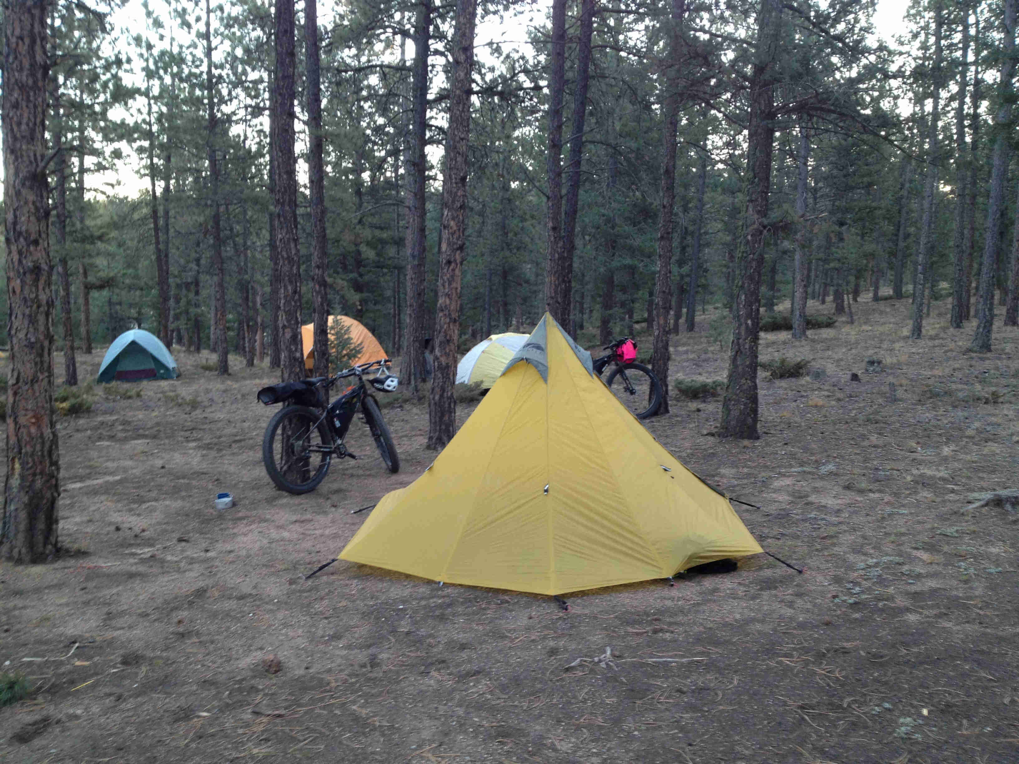 Right side view of a Surly bike with gear, leaning against a tree next to a yellow tent, on a clearing in a forest