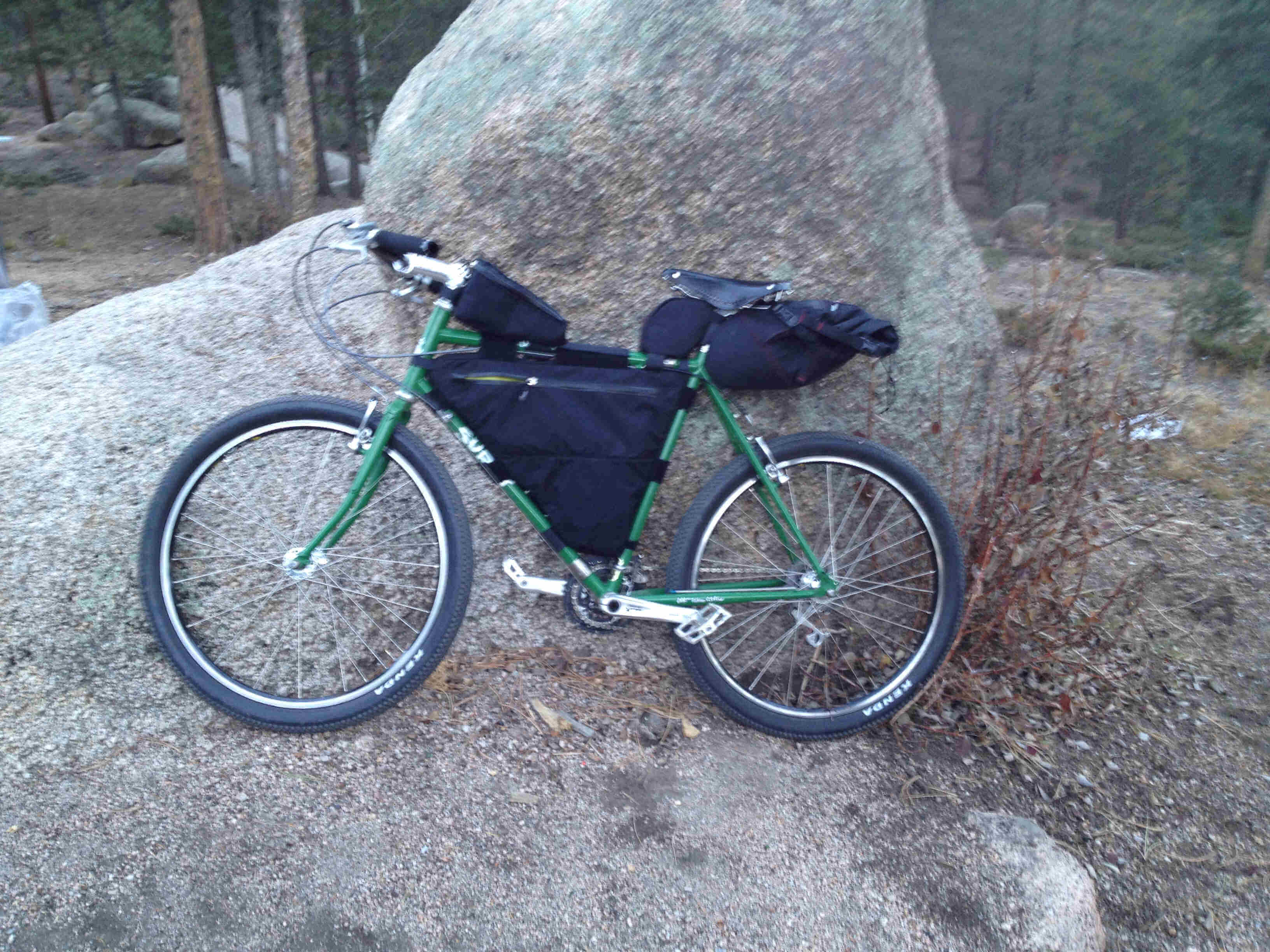 Left side view of a green Surly bike with gear packs, leaning against a large boulder, with a forest behind it