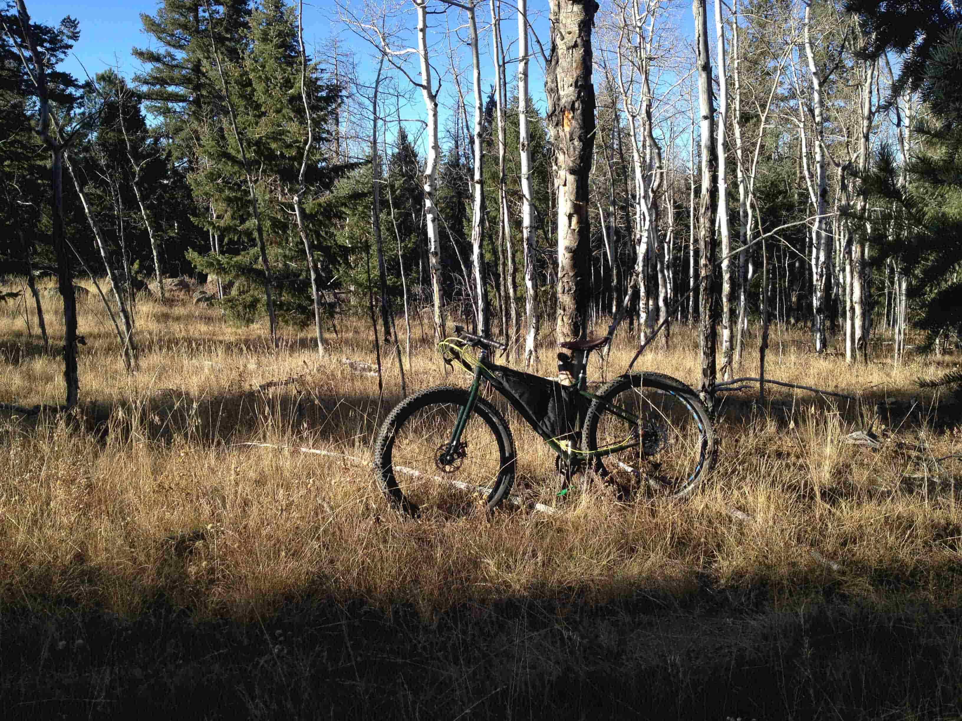 Left side view of a green Surly Krampus bike, leaning against a tree in an area of brown grass, in the woods