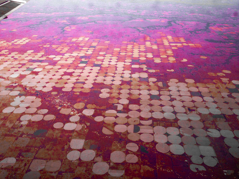 View from an airplane window of circle shaped fields, with pink haze