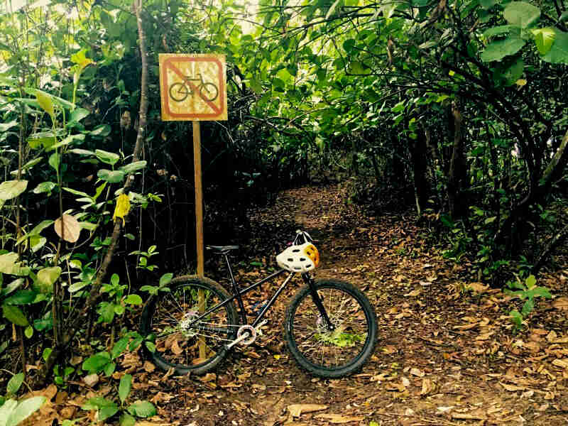 Right side view of a black Surly bike, parked across a leafy trail leading into a thick forest, under a No Bikes sign