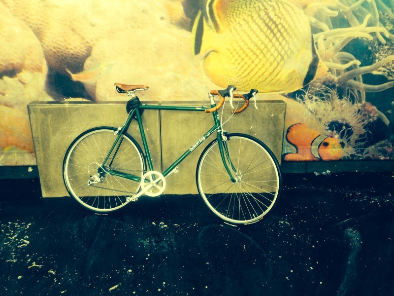 Right side view of a green Surly Pacer bike, leaning against a wall, with a painted mural of fish on it