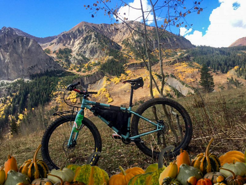 Left side view of a mint Surly fat bike in a field with mountains in the background - gourd graphics at bottom of image