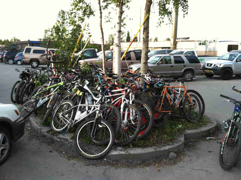 A large number of bikes, parked very closely together, around a median on a paved parking 