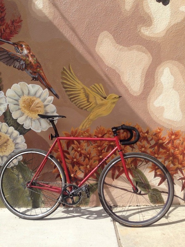 Right side view of a red Surly Long Haul Trucker bike, leaning on a wall with a mural of birds and flowers painted on it