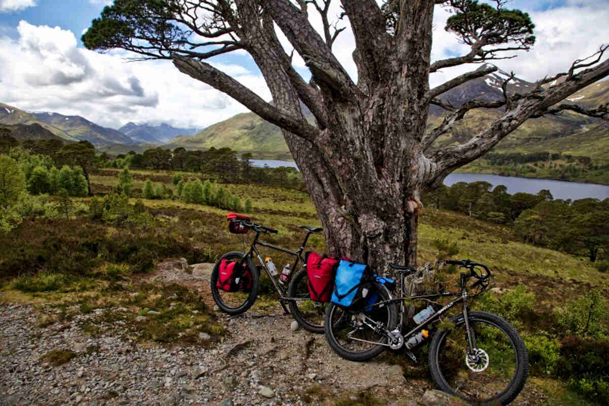 Two Surly bikes, facing opposite directions, parked against an old tree, with a river and mountains in the background