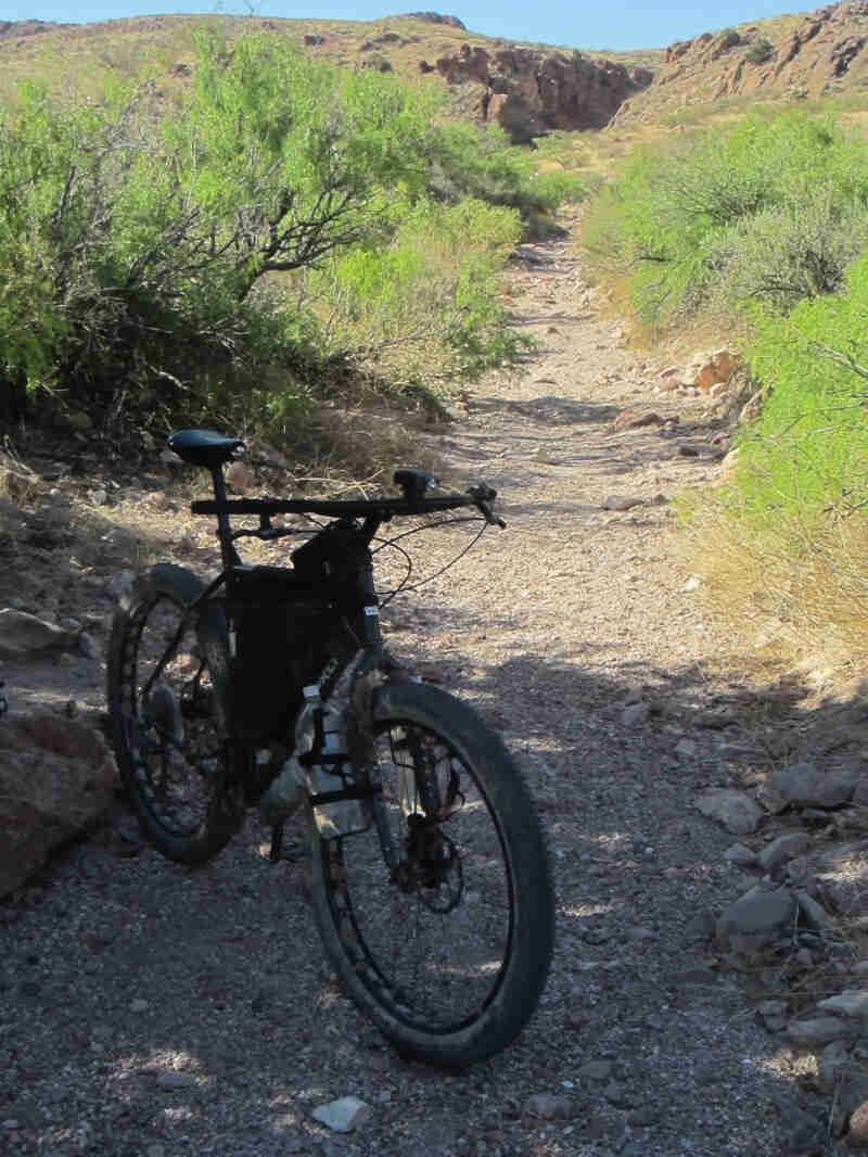 Front, right side view of a Surly bike with packs, parked on a rocky desert trail with small green trees on the sides