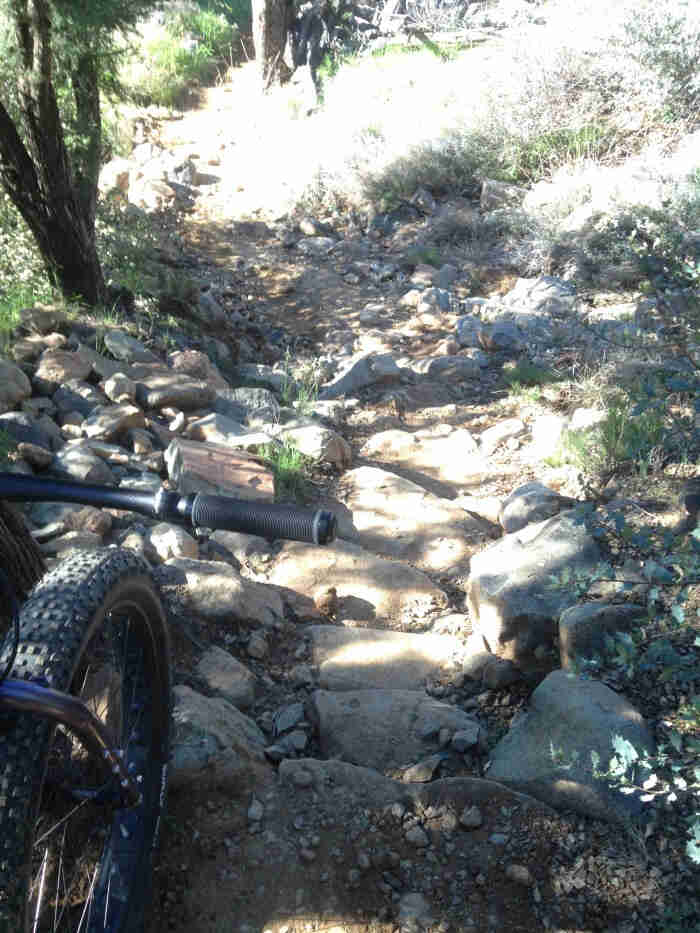 Downward, front end view of a Surly fat bike, facing down a rocky trail with brush around it