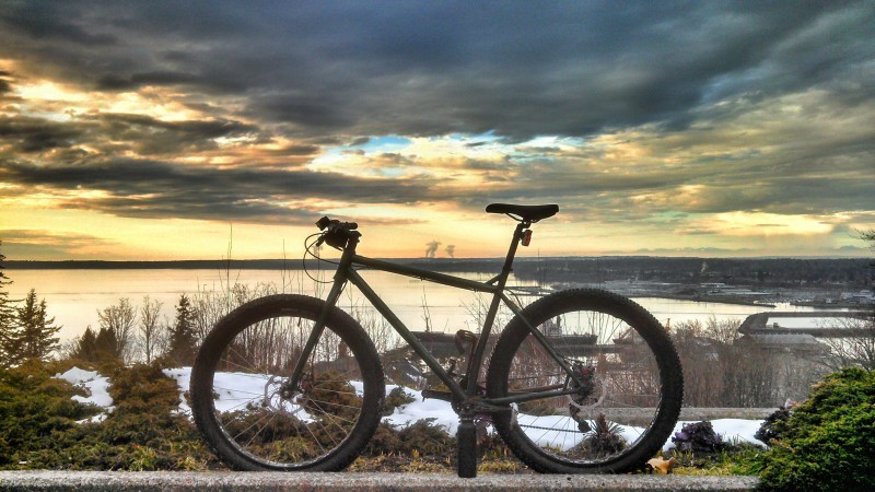 Left side view of an olive drab Surly Krampus bike, parked on a curb, on a hill, above a shipyard harbor at sunset