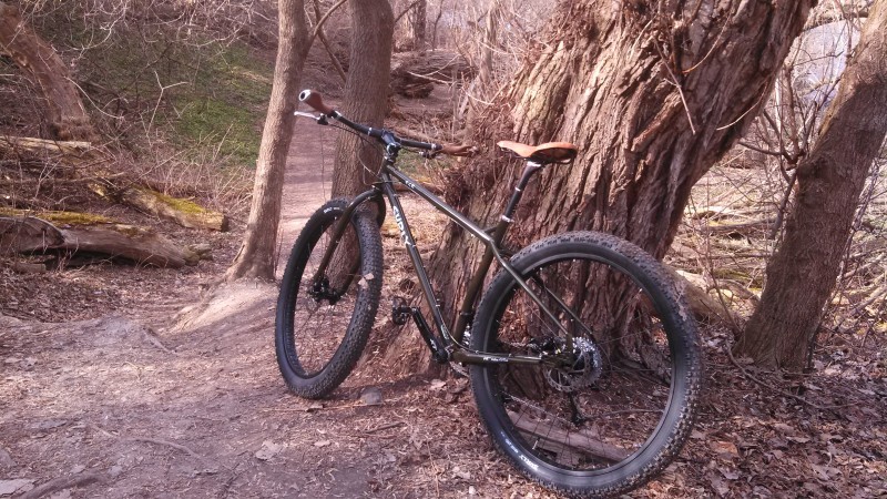 Right side view of a Surly ECR bike, on a dirt trail, leaning on a tree in bare woods