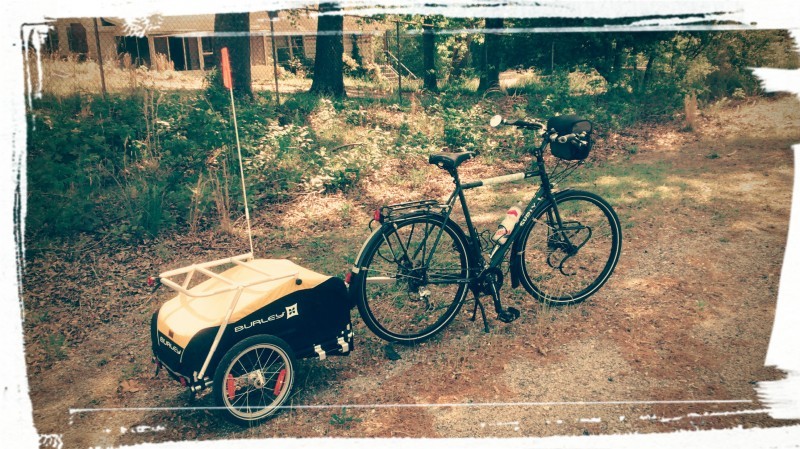 Right side view of a green Surly bike with a Burley trailer, in a yard with weeds along fence, in the background
