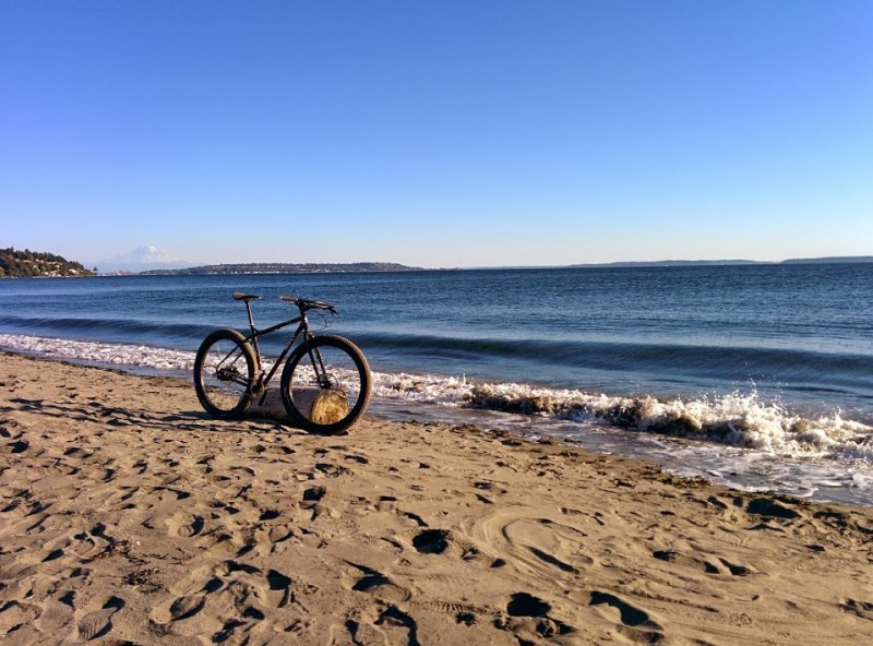 Front, right side view of a Surly bike, leaning against a log laying on the beach, close to the water