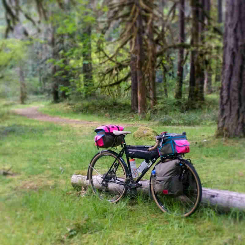 Right side view of a black Surly bike loaded with gear, parked in a grass field, with a forest in the background