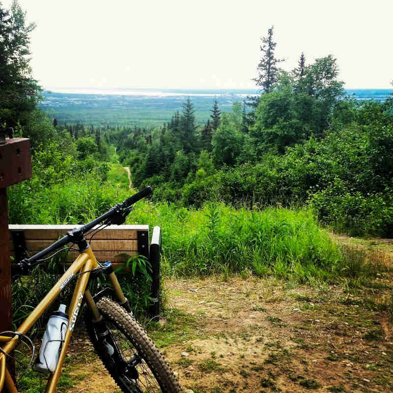 Right side of a gold Surly Instigator bike, parked on dirt on the top of a grassy hill, with a forest in the background