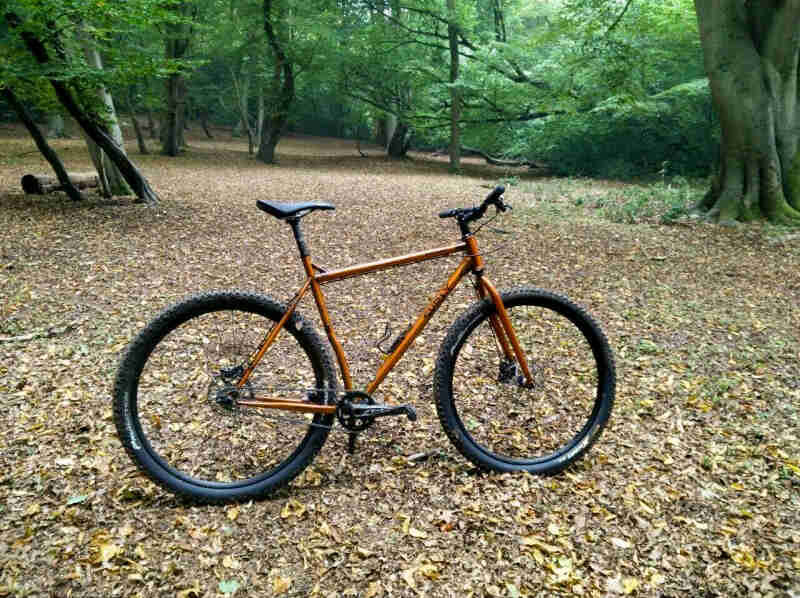 Right profile view of a dark orange Surly bike, on a field of leaves, with the green forest in the background