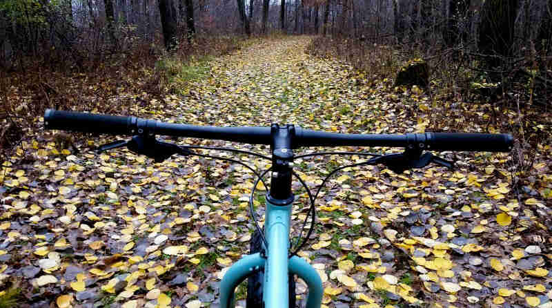 Front cropped view of the handlebars on a bike, facing down a leaf covered road in the woods