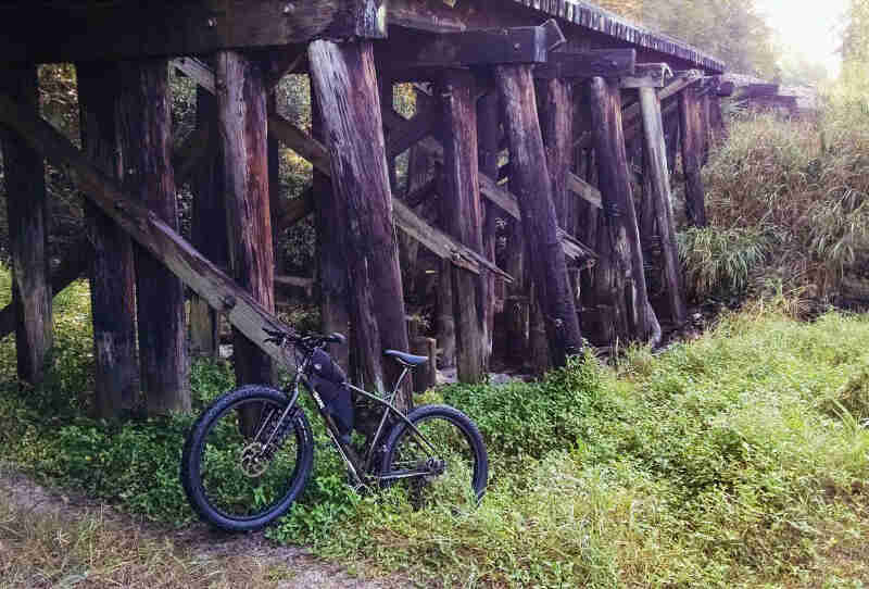 Left side view of a Surly bike, parked in weeds, under a wood bridge