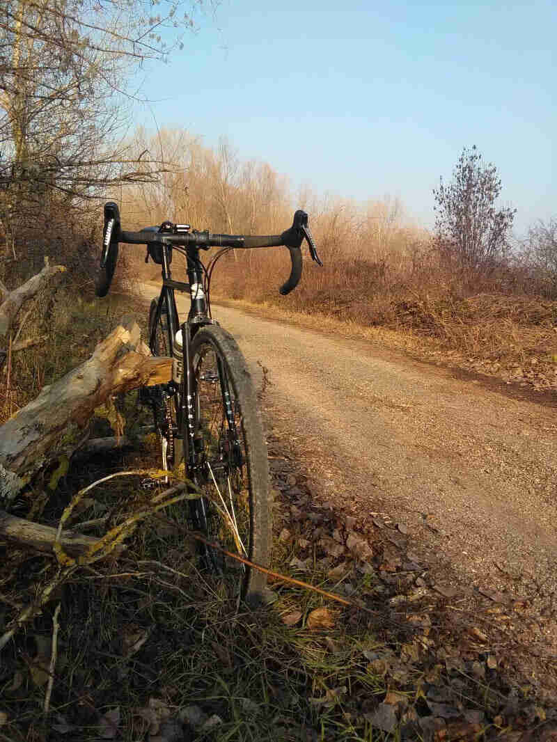 Front view of a black Surly bike, parked in weeds on the side of a gravel road in the woods