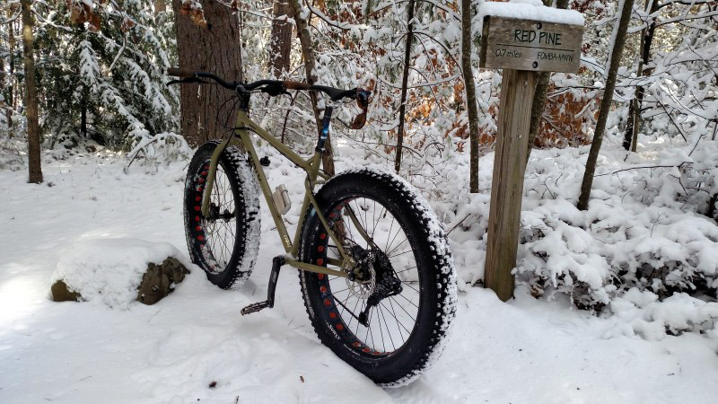 Rear left view of a Surly fat bike in the snow, facing towards a forest