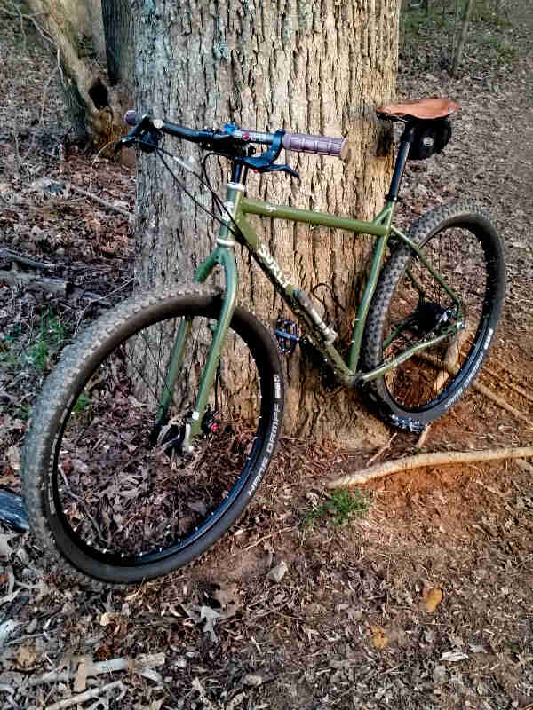 Front, left side view of an olive Surly bike, parked at the base of a tree in the forest