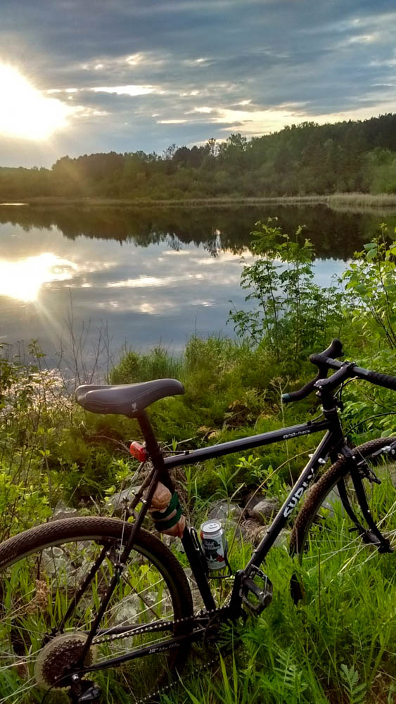 Right side view of a Surly bike, black, parked on a weedy bank of a lake