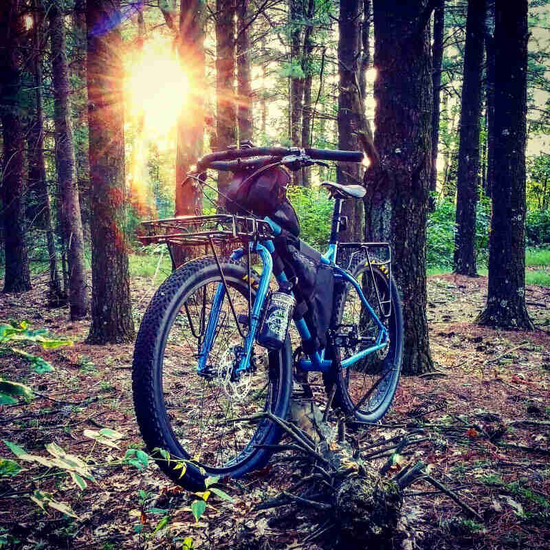 Front left side view of a Surly bike, blue, parked on a forest floor, with sun shining through trees in the background