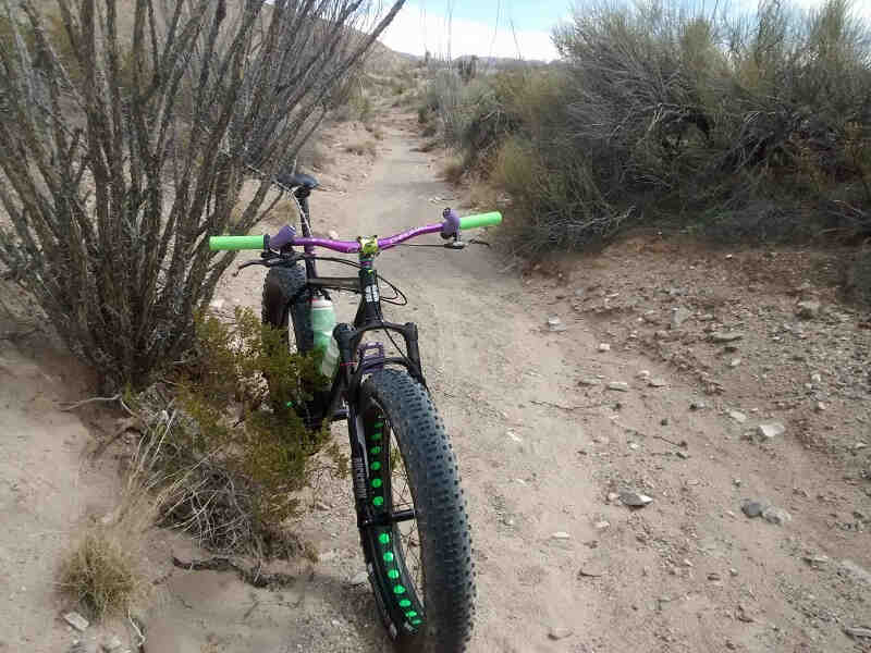 Front view of a Surly fat bike leaning on a bush on the side of a desert gravel trail
