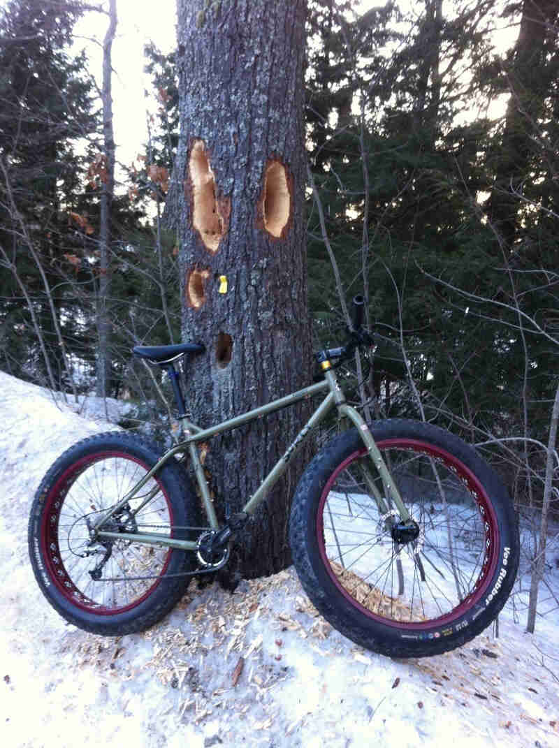 Right side view of an olive green Surly fat bike, parked on snow, leaning against a pine tree with bird holes in it