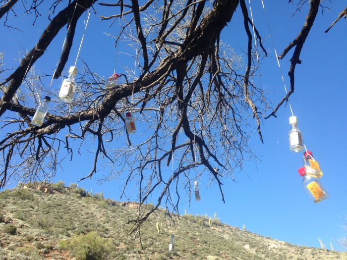 Upward view of a bare tree branch with liquor bottles hanging from it by strings, with a desert hill in the background