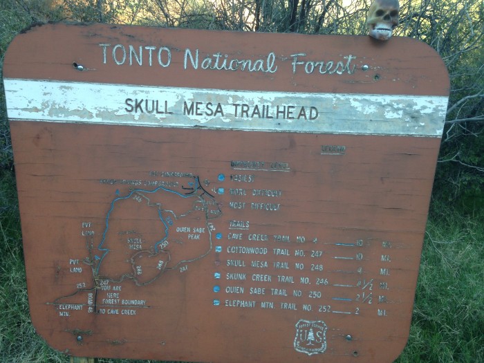 A sign for the Tonto National Forest - Skull Mesa Trailhead, with a fake skull sitting on top of it