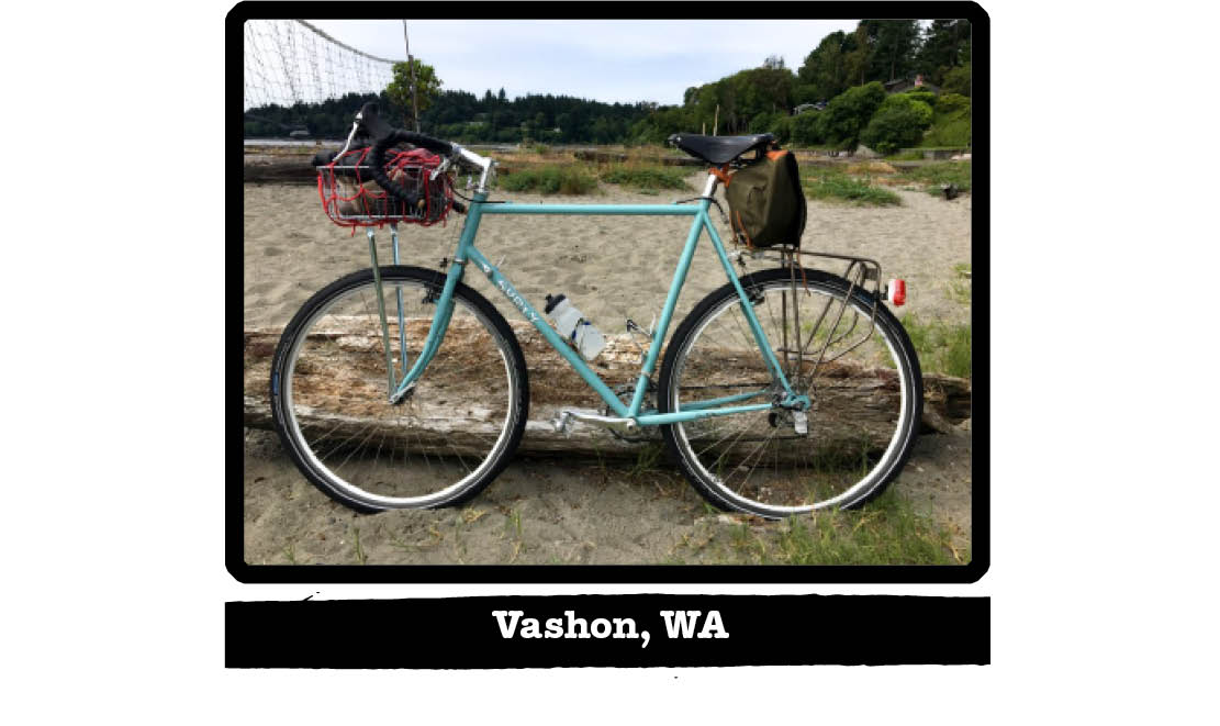 Left profile of a Surly bike on sand, against a log, with a sand volley court in background - Vashon, WA tag below image