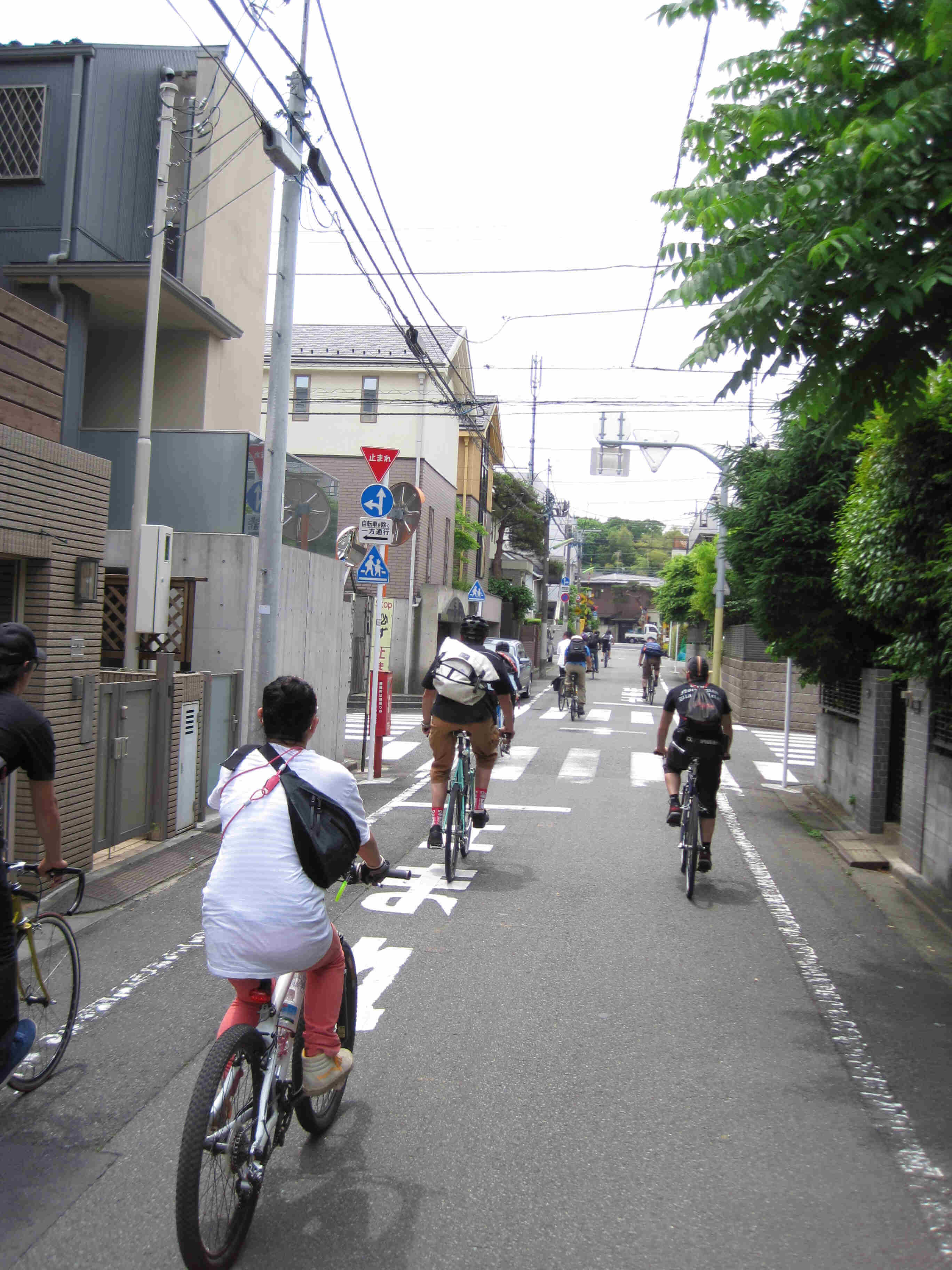 Rear view of a cyclist group riding their bikes down a city street, with buildings on the right, and trees on the left