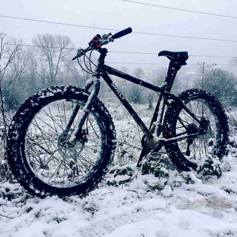 Left side view of a black Surly fat bike, standing in a snow covered field, with trees in the background